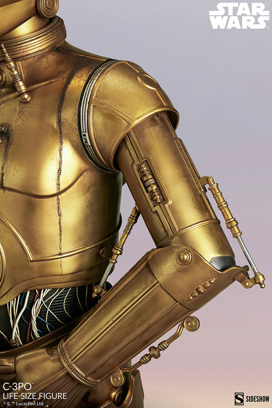 スター・ウォーズ』等身大スタチュー C-3PO[2024年再生産]（再販）[サイドショウ]【同梱不可】【送料無料】《１２月仮予約》