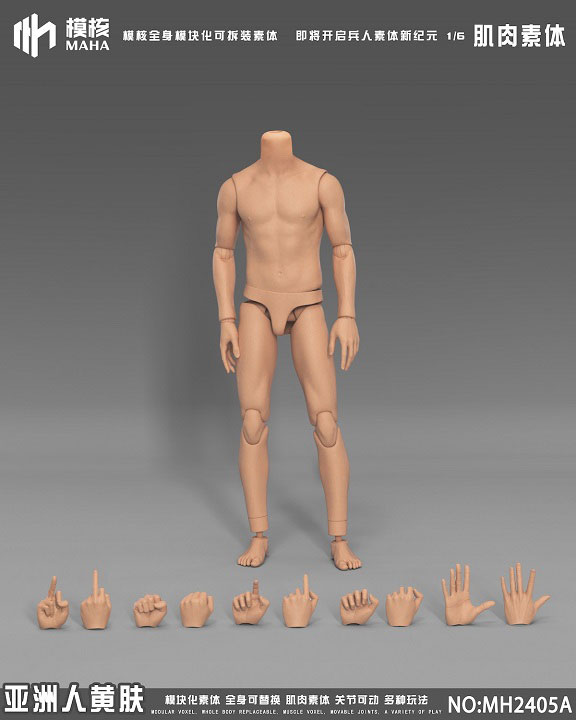 1/6マッスル男性素体 / アジアンイエロースキン
