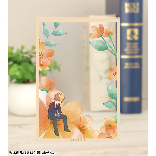 GOODS-04483443_15.jpg
