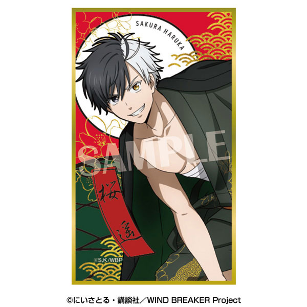 TVアニメ『WIND BREAKER』 華絵札色紙コレクション 12個入りBOX