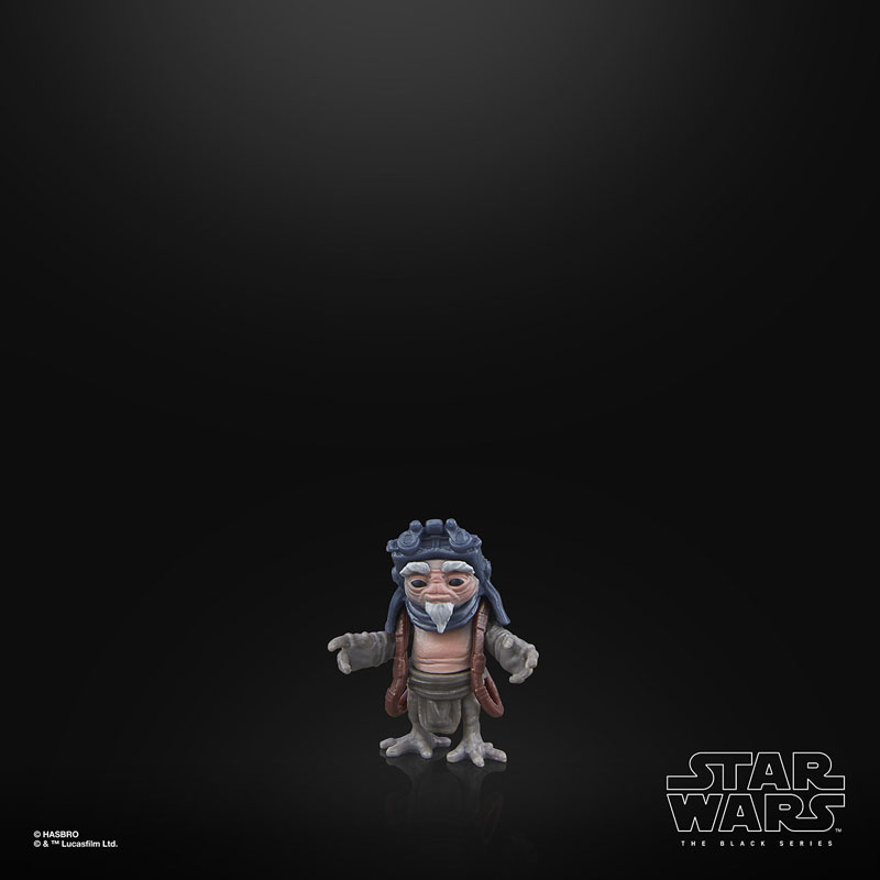 『スター・ウォーズ』「BLACKシリーズ」6インチ・アクションフィギュア IG-12＆グローグー[TVドラマ『マンダロリアン』][ハズブロ]