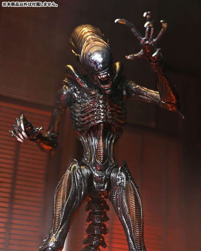 NECA ネカ エイリアン ロムルス スコーチドゼノモーフ　7インチ　フィギュア エイリアン:ロムルス/ スコーチド ゼノモーフ アルティメット 7