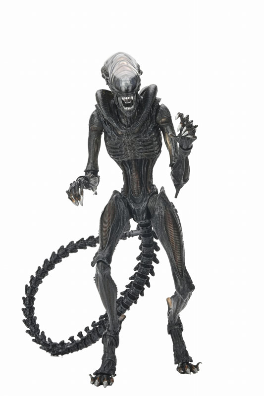 エイリアン：ロムルス/ スコーチド ゼノモーフ アルティメット 7インチ アクションフィギュア