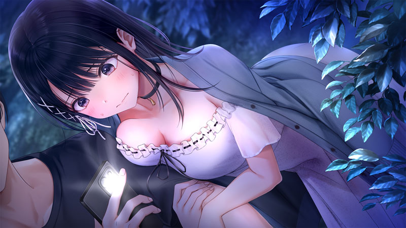 PCソフト 制服カノジョ 初回版 エンターグラム Amazon | 制服カノジョ 初回版 | PCゲーム | PCソフト