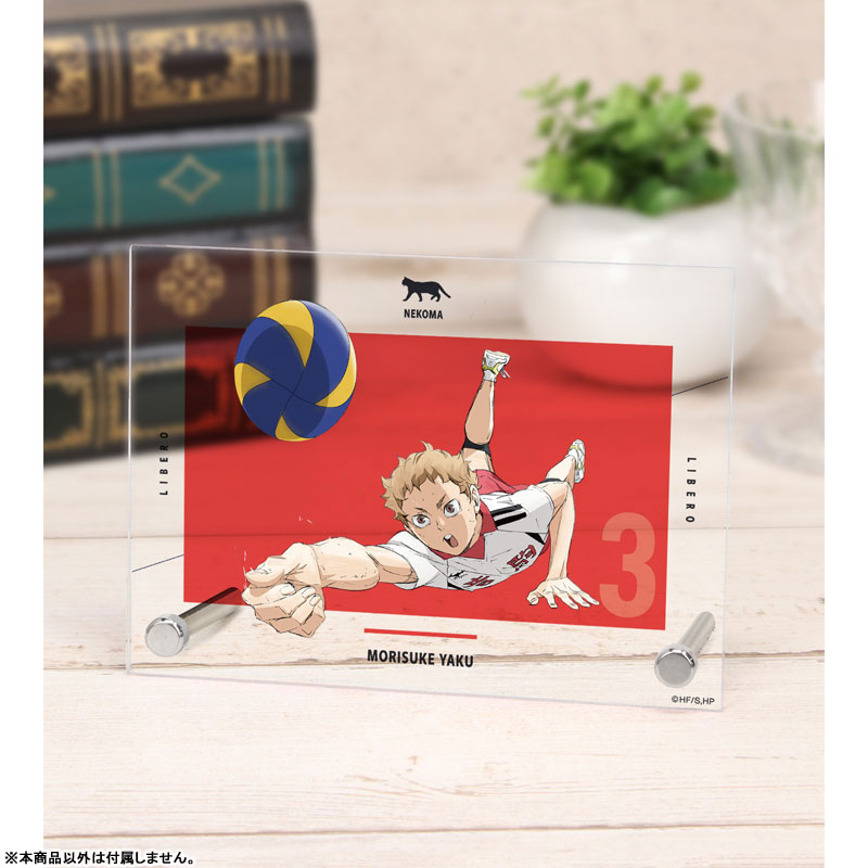 GOODS-04503568_01.jpg