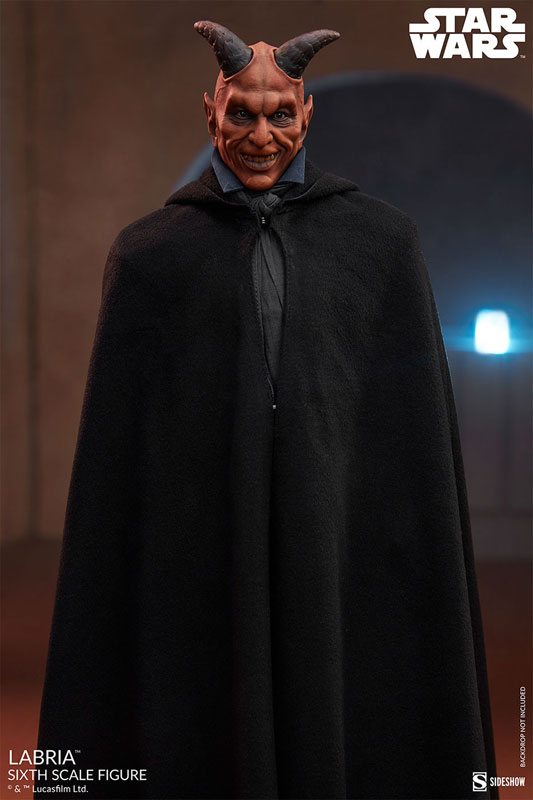 『スター・ウォーズ』1/6 フィギュア スカム&ヴィラニー・オブ・スター・ウォーズ ラブリア