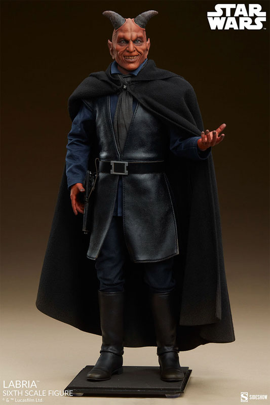 『スター・ウォーズ』1/6 フィギュア スカム&ヴィラニー・オブ・スター・ウォーズ ラブリア