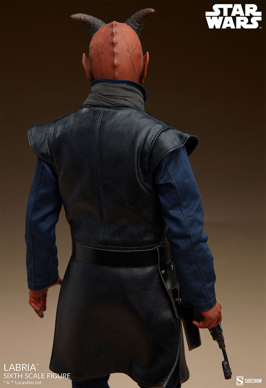 『スター・ウォーズ』1/6 フィギュア スカム&ヴィラニー・オブ・スター・ウォーズ ラブリア