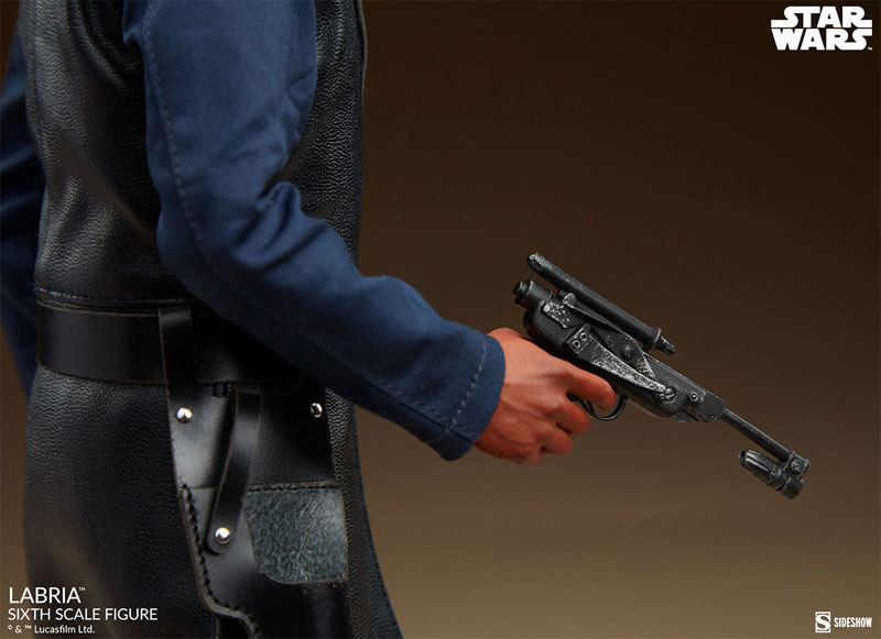 『スター・ウォーズ』1/6 フィギュア スカム&ヴィラニー・オブ・スター・ウォーズ ラブリア