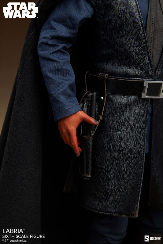 『スター・ウォーズ』1/6 フィギュア スカム&ヴィラニー・オブ・スター・ウォーズ ラブリア