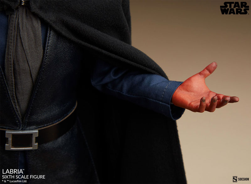 『スター・ウォーズ』1/6 フィギュア スカム&ヴィラニー・オブ・スター・ウォーズ ラブリア