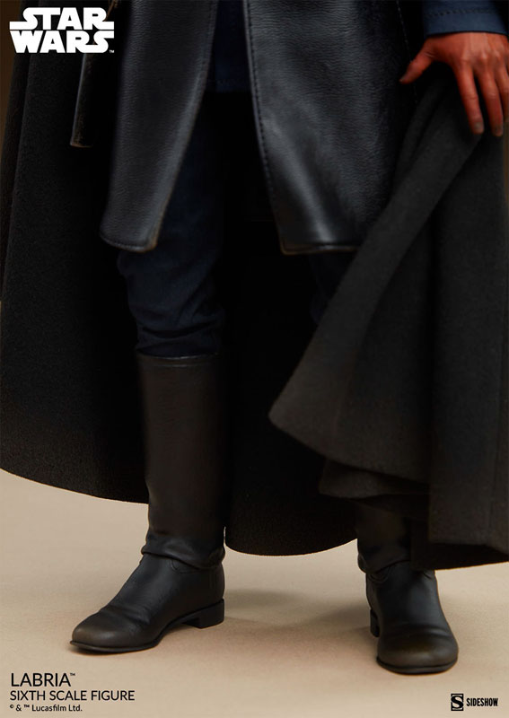 『スター・ウォーズ』1/6 フィギュア スカム&ヴィラニー・オブ・スター・ウォーズ ラブリア