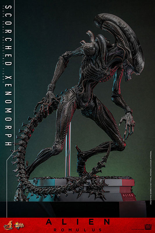 ムービーマスターピース エイリアン：ロムルス 1/6 スコーチド・ゼノモーフ延期前倒可能性大[ホットトイズ]