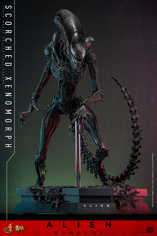 ムービーマスターピース エイリアン：ロムルス 1/6 スコーチド・ゼノモーフ延期前倒可能性大[ホットトイズ]