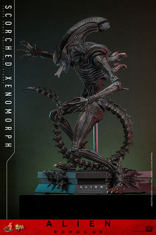ムービーマスターピース エイリアン：ロムルス 1/6 スコーチド・ゼノモーフ延期前倒可能性大[ホットトイズ]