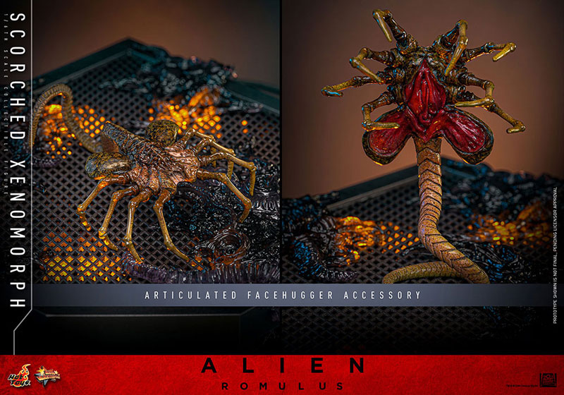ムービーマスターピース エイリアン：ロムルス 1/6 スコーチド・ゼノモーフ延期前倒可能性大[ホットトイズ]