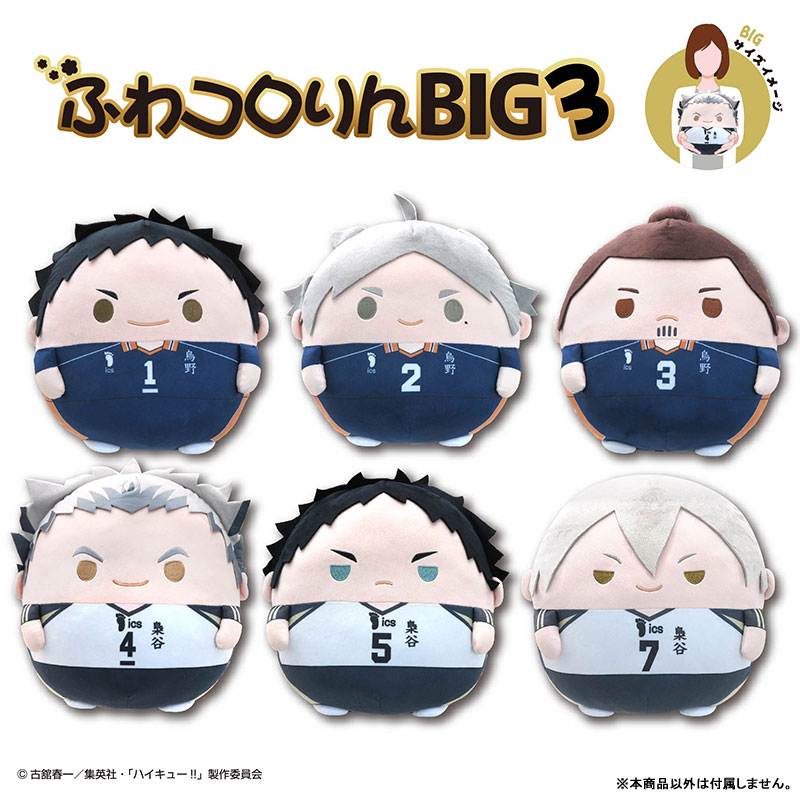 GOODS-04539297_01.jpg