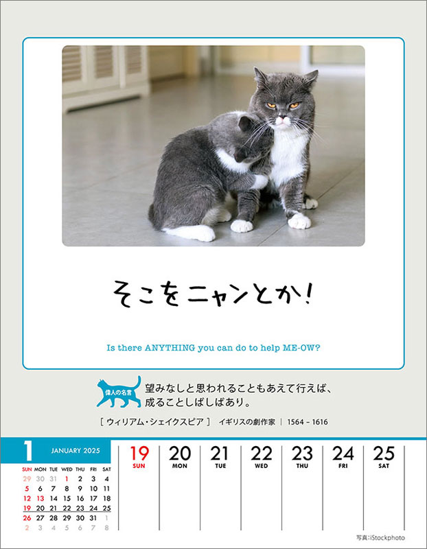 人生はニャンとかなる！ 卓上/壁掛 2025年カレンダー[トライエックス