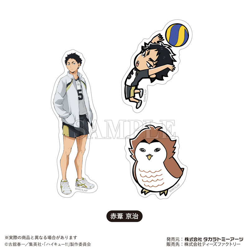 GOODS-04557594_11.jpg