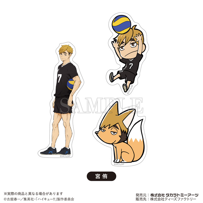 GOODS-04557594_12.jpg