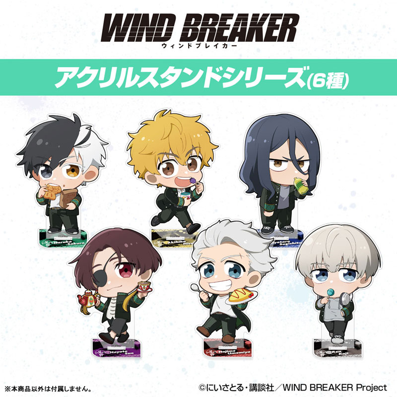 MEIY ACRYLIC STAND – CRAZY RACCOON