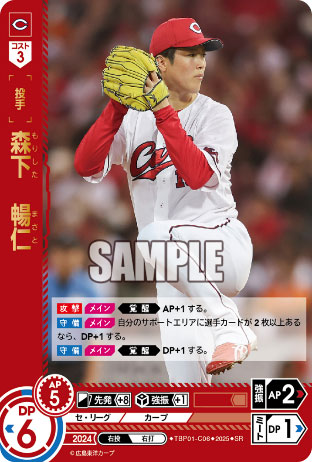 プロ野球カードゲーム DREAM ORDER 球団ブースター 広島東洋