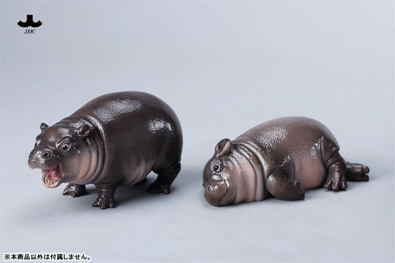 カバの赤ちゃん 3.0