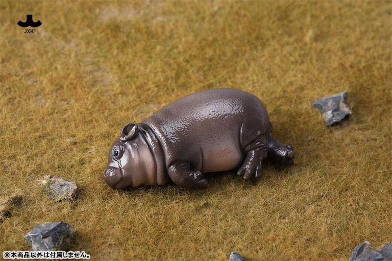 カバの赤ちゃん 3.0