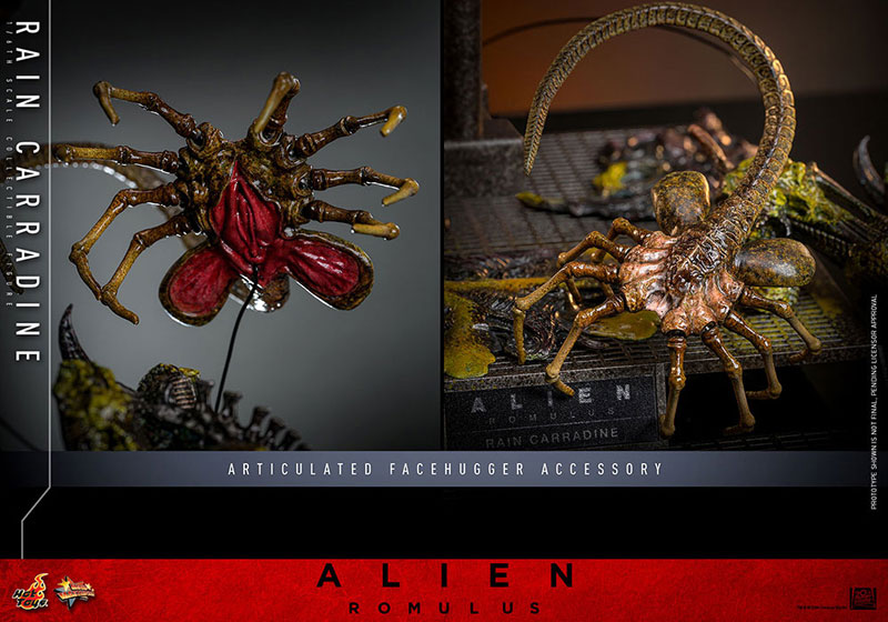 ムービー・マスターピース『エイリアン：ロムルス』1/6 レイン・キャラディン※延期・前倒し可能性大