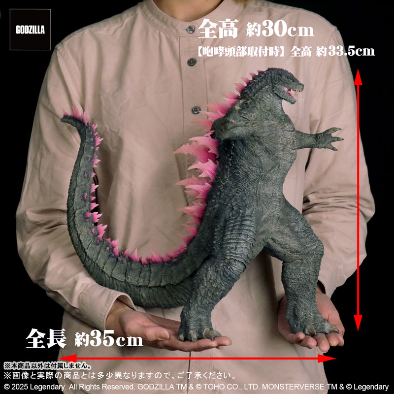 出品8/31まで‼東宝大怪獣シリーズ　GODZILLA2024　未開封通常ver 東宝大怪獣シリーズ GODZILLA (2024) EVOLVED Ver. FROM