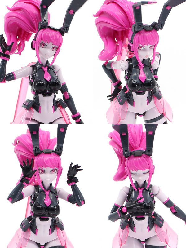 アニマサーキット ヴィオ・ザ・ラビット SP 1/12 プラモデル
