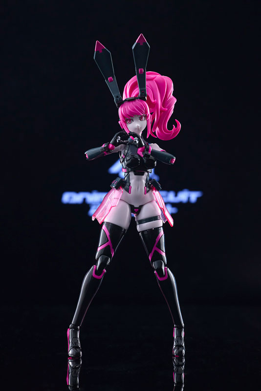 アニマサーキット ヴィオ・ザ・ラビット SP 1/12 プラモデル