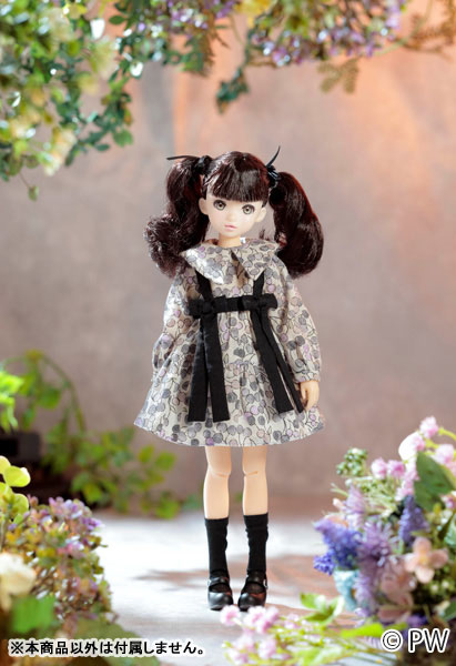 CCSgirl 25SS ruruko 完成品ドール