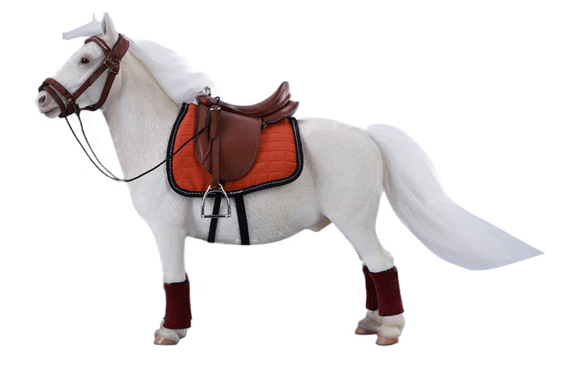 バングスリトルポニー - シェットランドポニー C