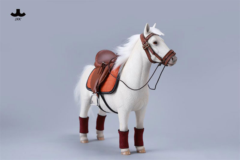 バングスリトルポニー - シェットランドポニー C