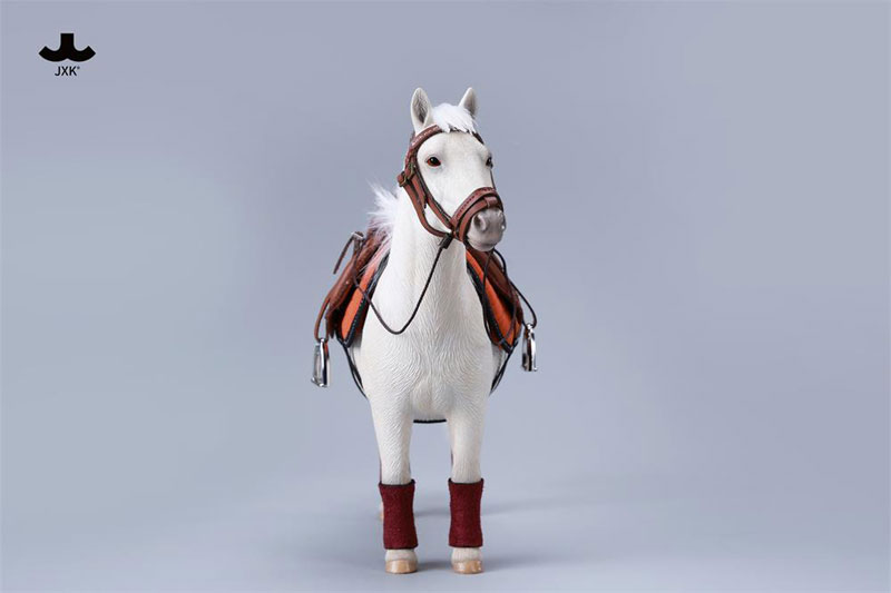 バングスリトルポニー - シェットランドポニー C