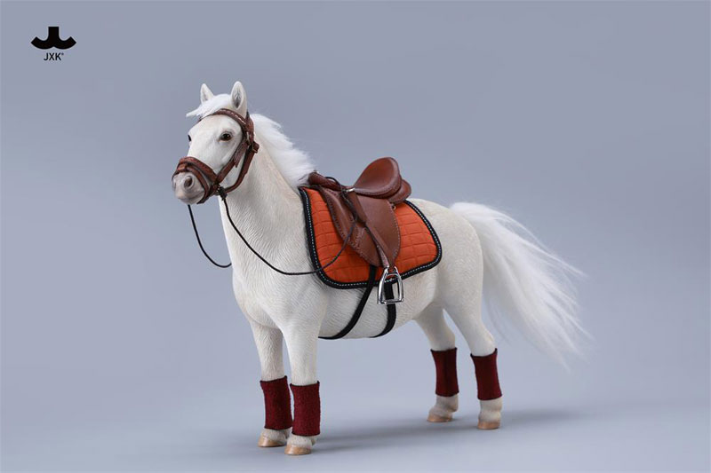 バングスリトルポニー - シェットランドポニー C