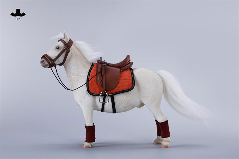 バングスリトルポニー - シェットランドポニー C