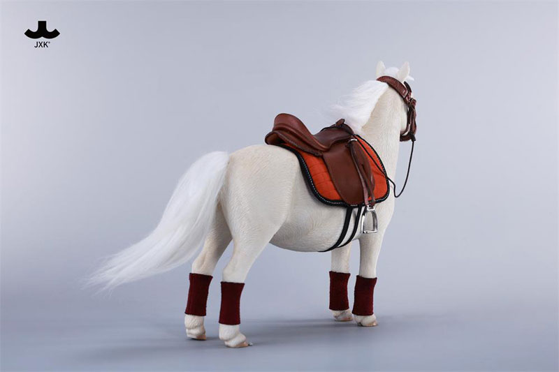 バングスリトルポニー - シェットランドポニー C