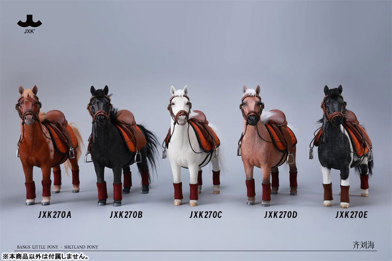 バングスリトルポニー - シェットランドポニー C
