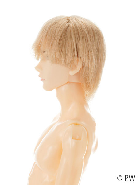 六分の一男子図鑑 ボタニカル ナイン 完成品ドール