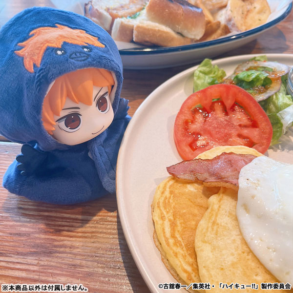 るかっぷ ポンチョ ハイキュー!! ヒナガラス