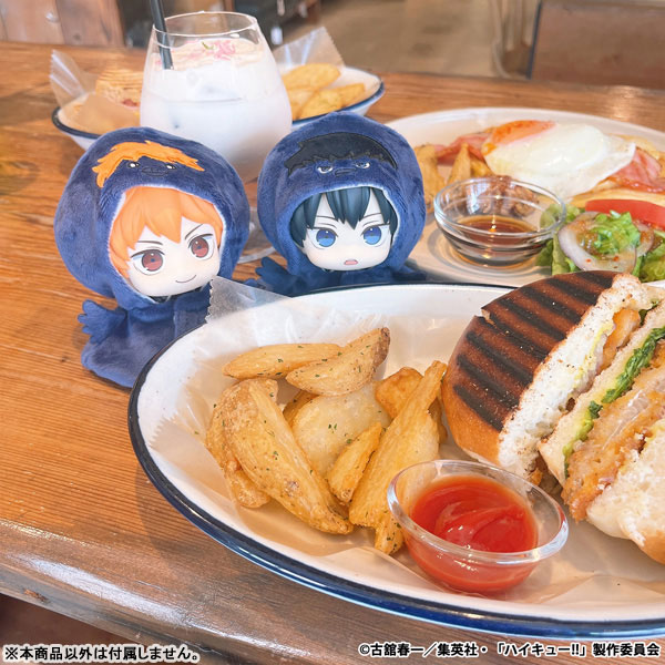 るかっぷ ポンチョ ハイキュー!! ヒナガラス