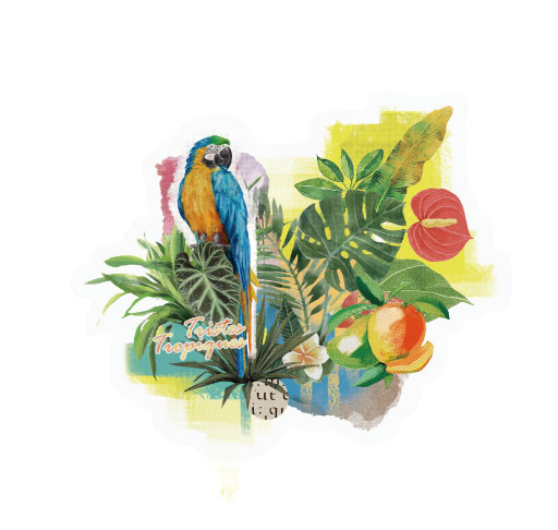 リバース：1999」 *南緯の記憶* コラージュ風ステッカーセット