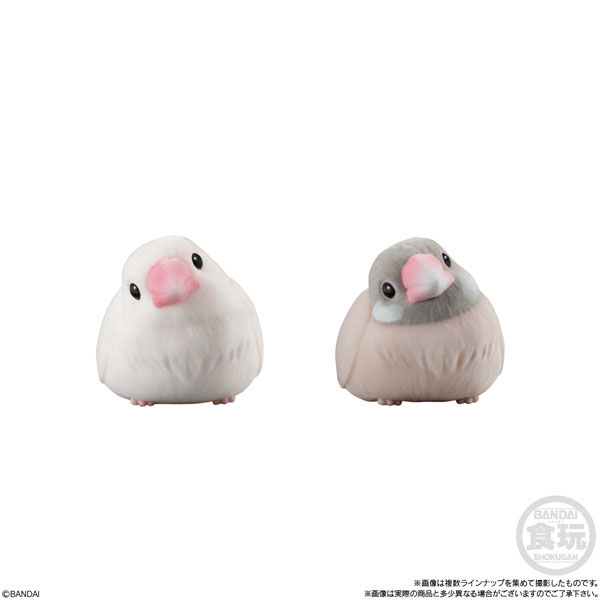 もふもふ てのりフレンズ 全9種セット