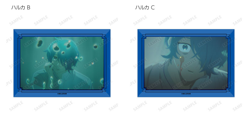 GOODS-04590206_14.jpg