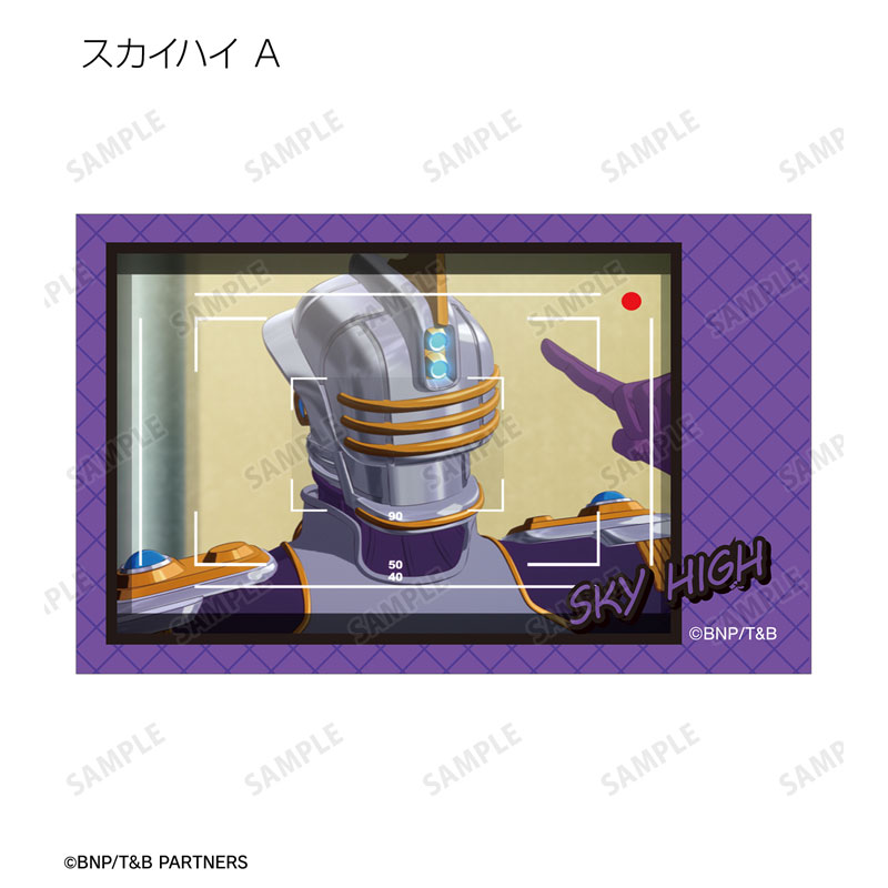 GOODS-04590226_10.jpg