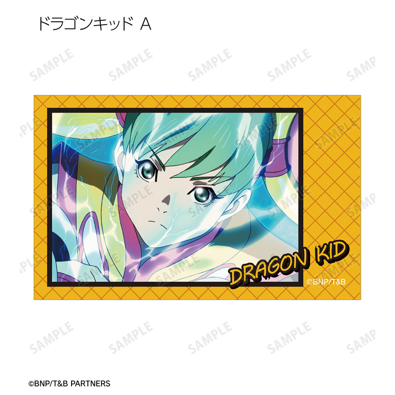 GOODS-04590226_12.jpg