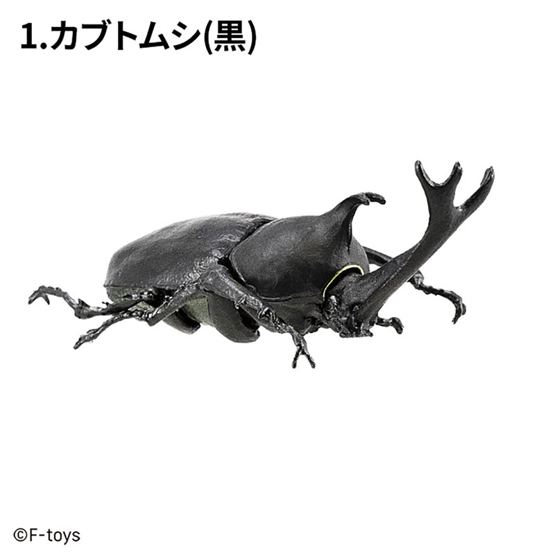 昆虫ハンター カブトムシ×クワガタ 10個入りBOX (食玩