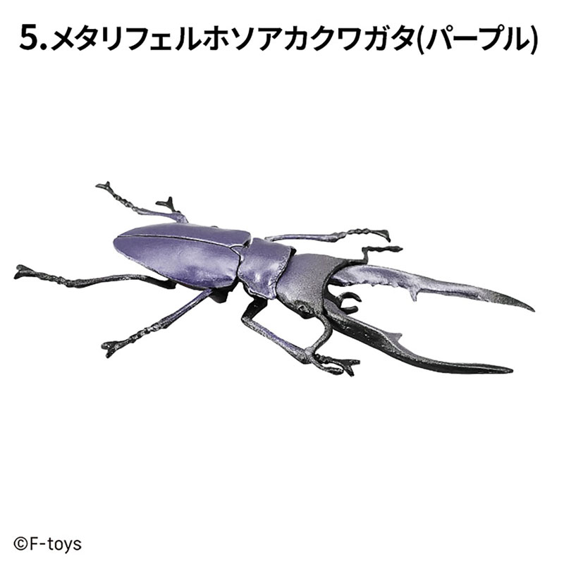 昆虫ハンター カブトムシ×クワガタ 10個入りBOX (食玩